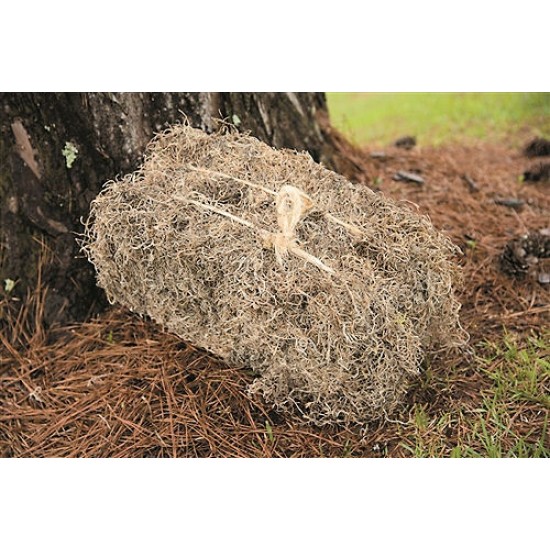 Dried Spanish Moss Bales - 4 Natural Bales