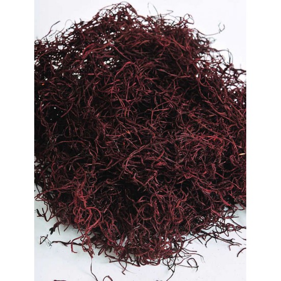 Dried Spanish Moss Dried Spanish Moss