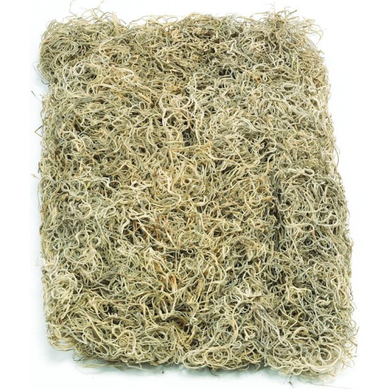 Dried Spanish Moss