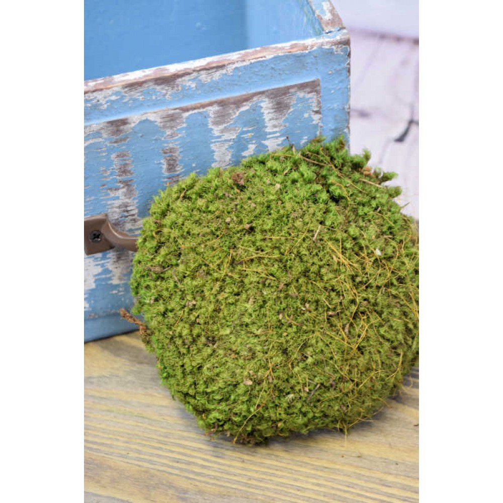 Mood Moss Natural