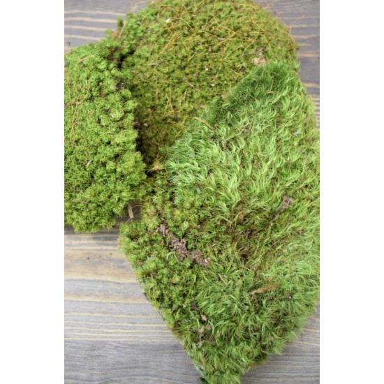 Natural Preserved Pillow / Mood Moss