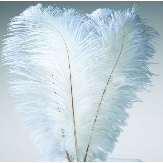Ostrich Feathers - Wing Plumes