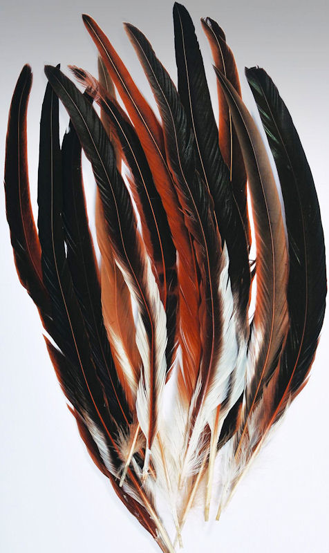 feathers for sale in bulk