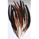 Rooster Tail Feathers Rooster Tail Feathers