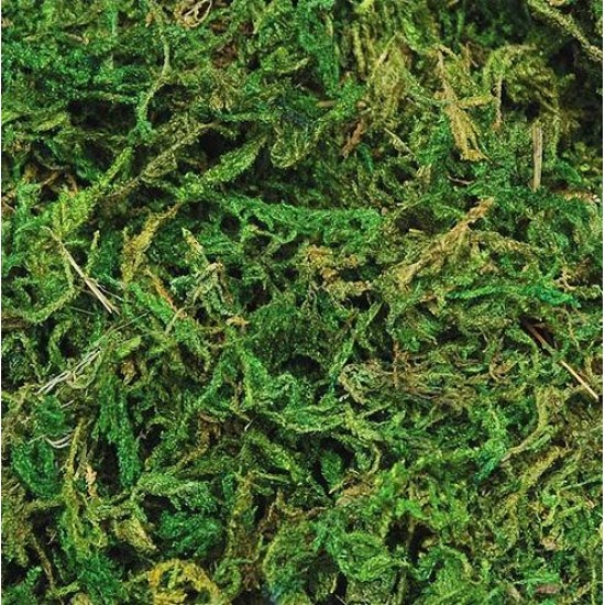 Stone Moss - Decorative Stone Moss