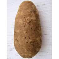 12 Idaho Potatoes