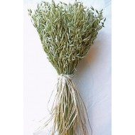 Avena Green Oats Centerpiece Stack