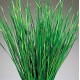 Bayou Grass - Dried Green or Natural
