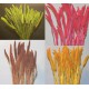 Dried Chinese Millet - China Millet Dried Chinese Millet - China Millet