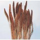 Dried Chinese Millet - China Millet Dried Chinese Millet - China Millet