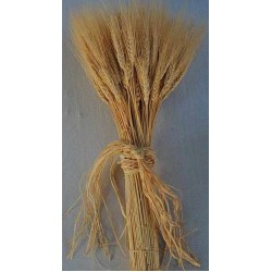 Bulk Case of Wheat Stalks - 15 lb case