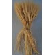 Bulk Case of Wheat Stalks - 15 lb case