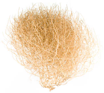 Gigantic Country Tumbleweed (Tumble weed)