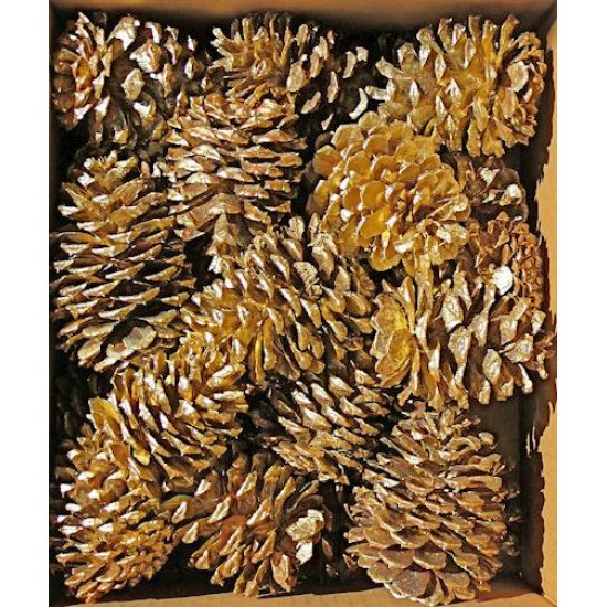 Gold Craft Ponderosa Pinecones