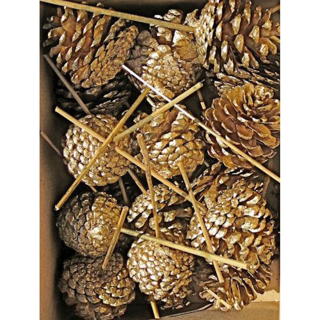 Gold Stemmed Pine Cones Gold Stemmed PineCone Box