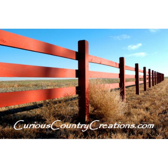 Large Country Tumbleweed (Tumble weed)