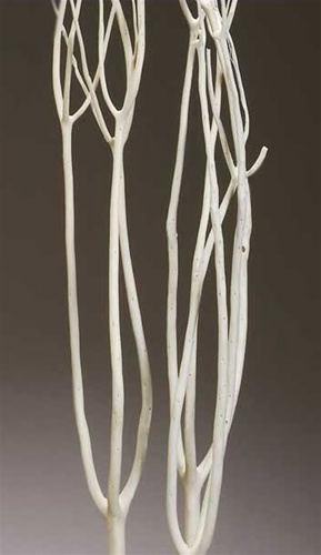 Mitsumata Branches Decorative Branches For Vases