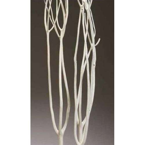 Decorative Branches Dried Branches for Sale Decorative Sticks