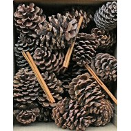 Pine Cones with Cinnamon Sticks