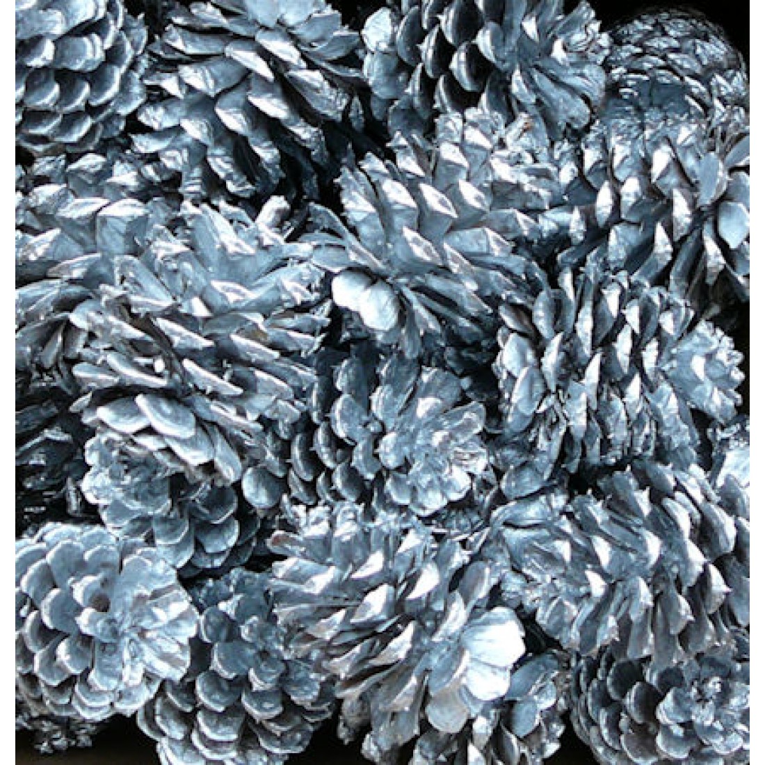 Silver Painted Pine Cones Silver Painted Pine Cone Box