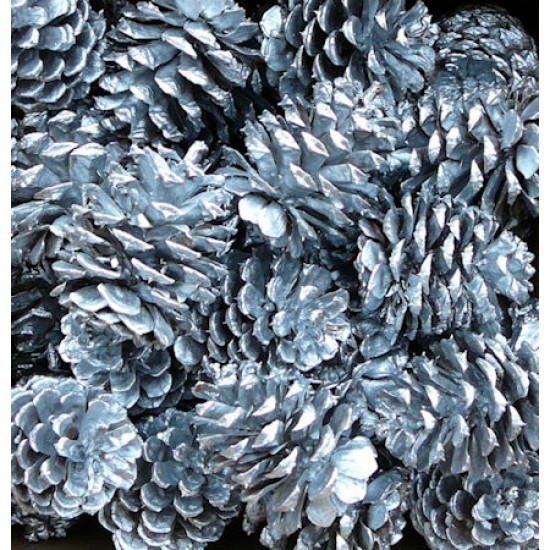 Silver Painted Ponderosa Pine Cones