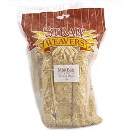 Mini Straw Bales - 2.5 inch (2 per bag)