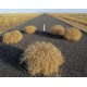 Mechanically Separated Tumbleweed Parts Mechanically Separated Tumbleweed Parts