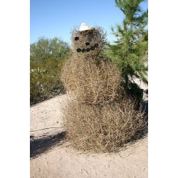 Tumbleweed Snowman