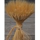 Large Dried Wheat Bunches Large Dried Wheat Bunches