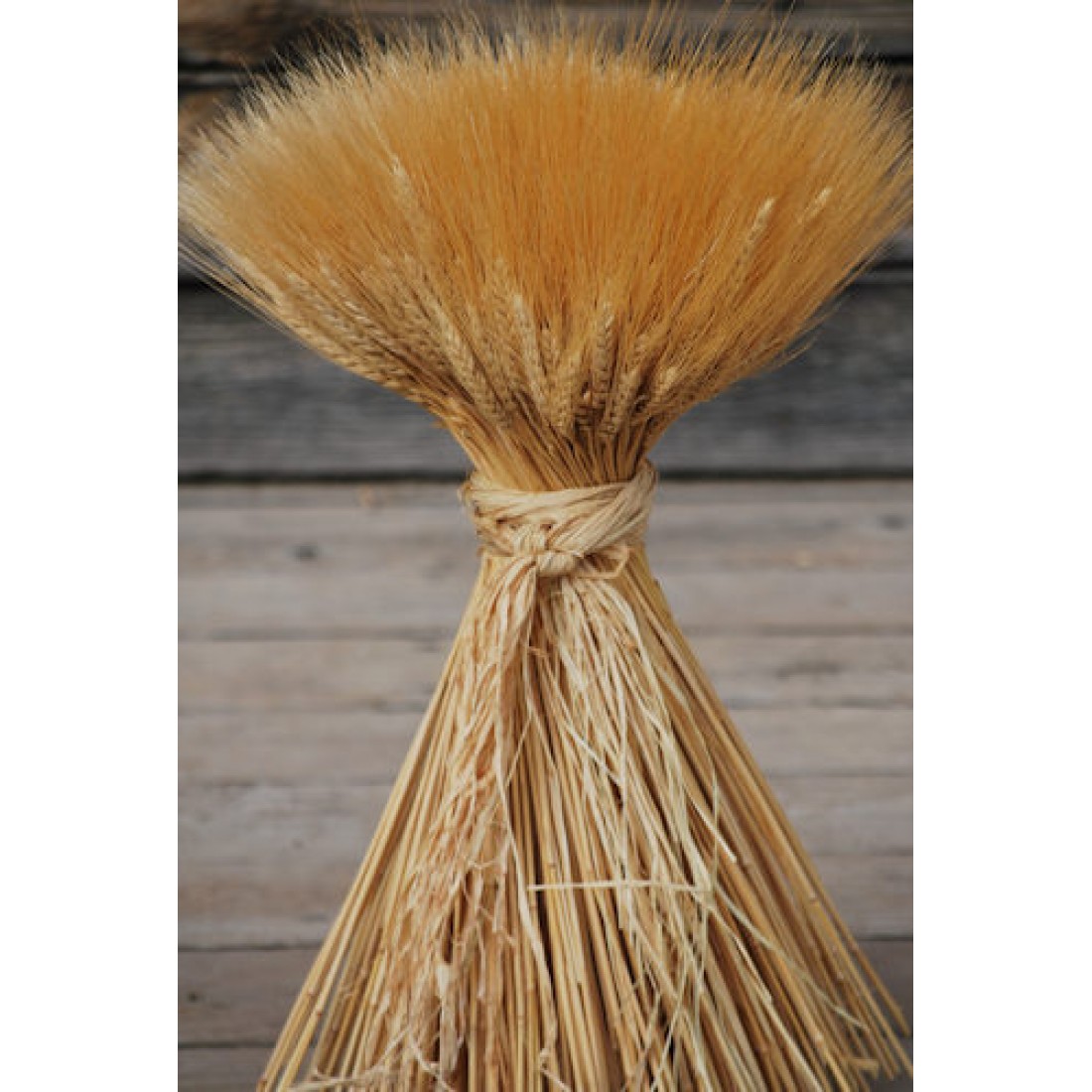 Wheat Sheaves (Sheaf, Shocks, Centerpiece, Center piece) 24oz (2LB)