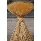 Extra Large Wheat Sheaves