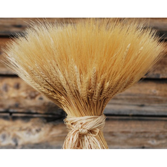 Extra Large Wheat Sheaves