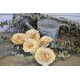 Sola Wood Karuna Flowers with Skin Sola Wood Karuna Flowers with Skin