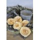 Sola Wood Karuna Flowers with Skin Sola Wood Karuna Flowers with Skin