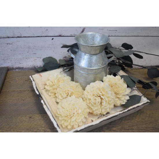 Sola Wood Dahlia Flowers Sola Wood Dahlia Flowers