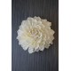 Sola Wood Dahlia Flowers Sola Wood Dahlia Flowers