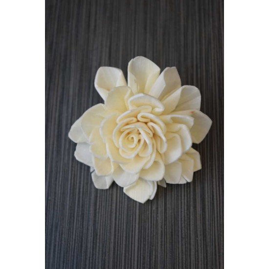 Sola Wood Dahlia Flowers Sola Wood Dahlia Flowers