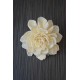 Sola Wood Dahlia Flowers Sola Wood Dahlia Flowers