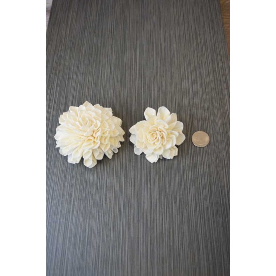 Sola Wood Dahlia Flowers Sola Wood Dahlia Flowers