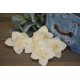 Wood Daylily Flowers - Daylilies Wood Daylily Flowers - Daylilies