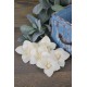 Wood Daylily Flowers - Daylilies Wood Daylily Flowers - Daylilies