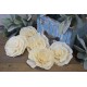 Sola Wood Flat Protea Flowers Sola Wood Flat Protea Flowers