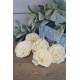 Sola Wood Flat Protea Flowers 