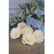 Sola Wood Flat Protea Flowers Sola Wood Flat Protea Flowers