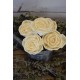 Wood Freeland Rose Wood Freeland Rose