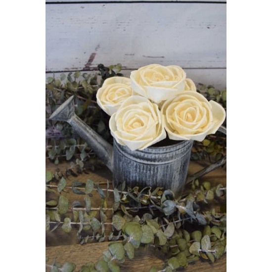 Wood Freeland Rose Wood Freeland Rose