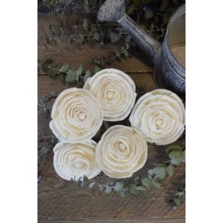 Wood Old Rose Flowers