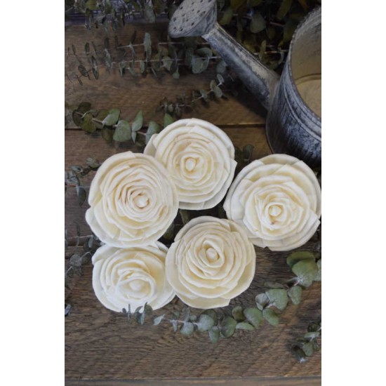 Wood Old Rose Flowers Wood Old Rose Flowers