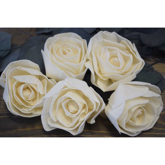 Wood Lena Rose - Plain Rose Wood Lena Rose - Plain Rose