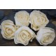 Wood Lena Rose - Plain Rose Wood Lena Rose - Plain Rose